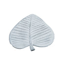 Large White Brushed Plam Tree Leaf (FC151)