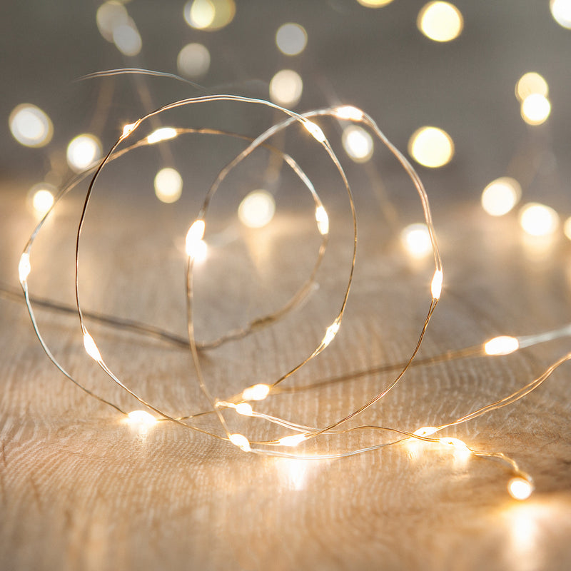 20 Micro Fairy Lights on 2 Meter Wire